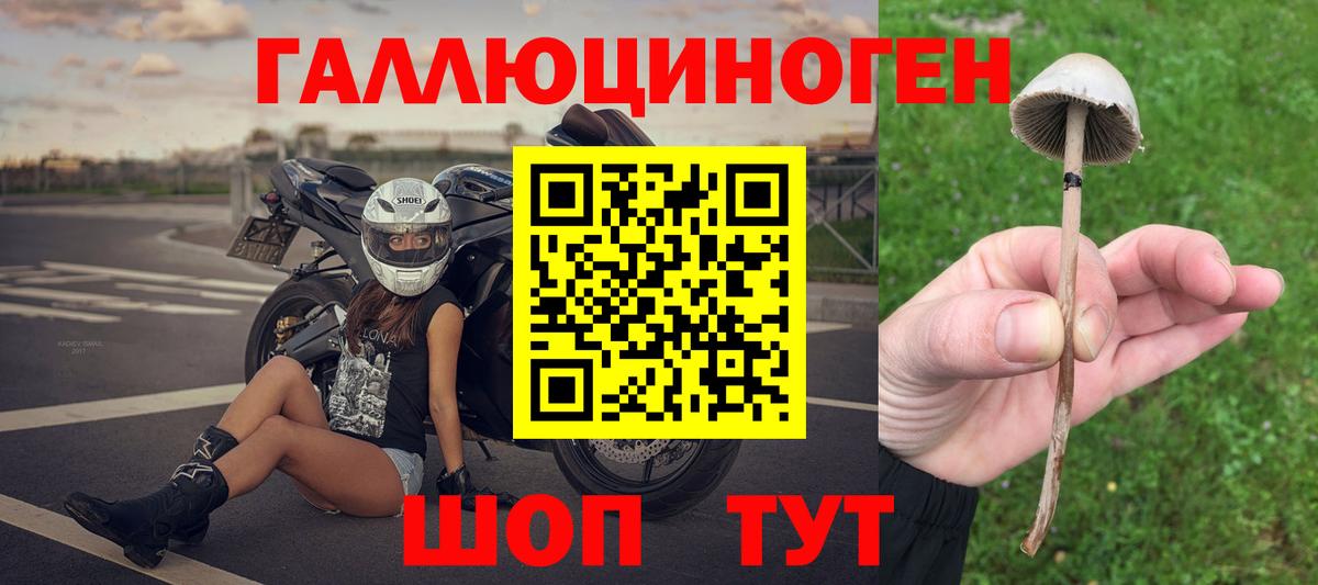 Псилоцибиновые грибы прущие грибы Ишимбай