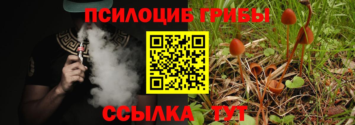 Псилоцибиновые грибы Magic Shrooms  Вход с VPN  Ишимбай  Галлюциногенные грибы мухоморы 